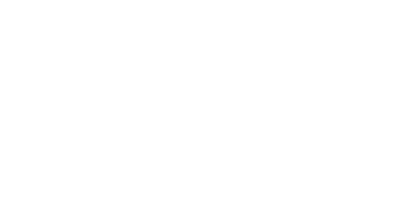 CHECK POINTS