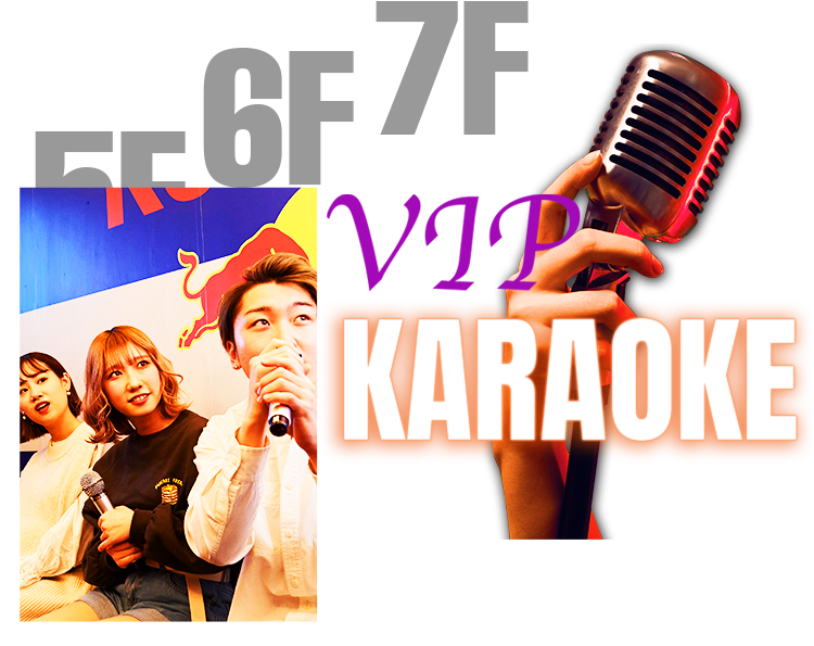 VIP KARAOKE