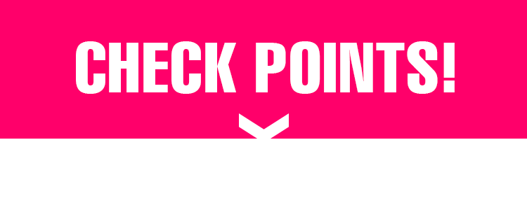 CHECK POINTS